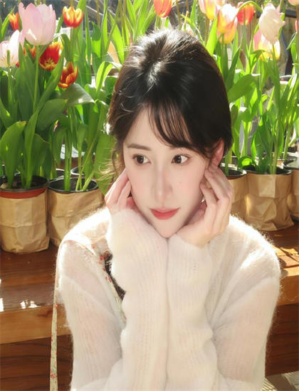 【影视解读】《墨西哥人的宫殿》口碑的传播效应与观众评价 经济学家市场分析的专业分析